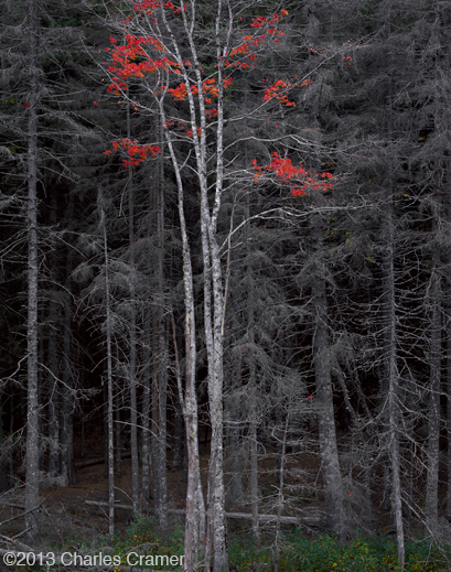 photograph ©Charles Cramer, available at Sun to Moon Gallery 